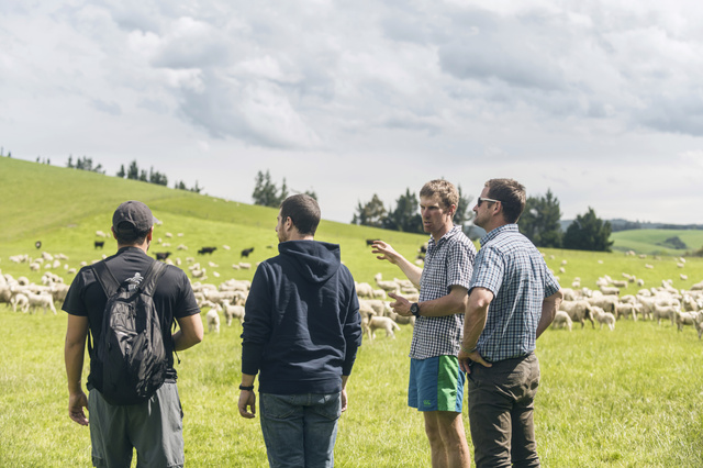 Sleep On Latex tours farm in New Zealand